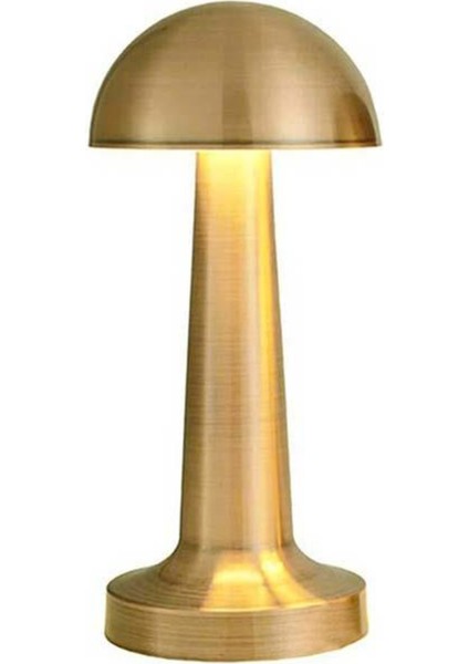 Seyhan Dekoratif Şarjlı LED Masa Lambası FL-8055