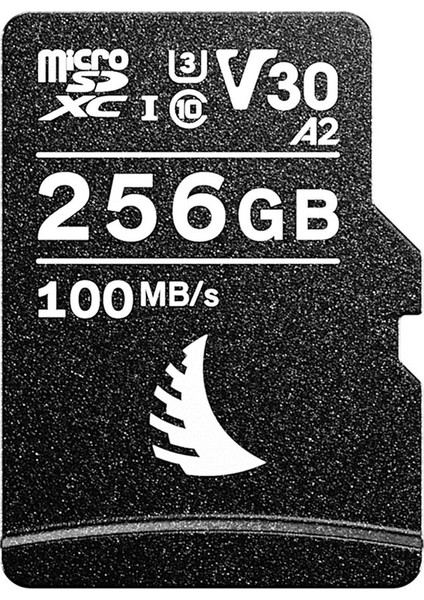 Microsd 256GB V30