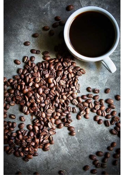 Sıgnature Organik Kavrulmuş Kahve Çekirdeği 250 gr modelleri