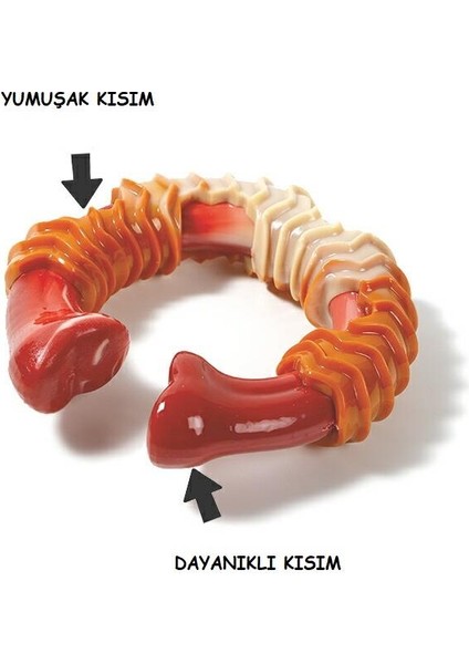 Carnivore Ring Dog Toy Pastırma Aromalı Kemirme Oyuncağı, Kemik