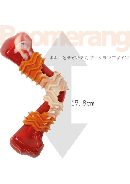 Carnivore Boomerang Dog Toy Pastırma Aromalı Kemirme Oyuncağı, Kemik fiyatları