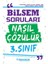 3. Sınıf Bilsem Soru Bankası Nasıl Çözülür Zeki Çocuk Yayınları 1