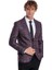 Slim Fit Sivri Yaka Mor Erkek Ceket 5