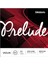 J810 4/4m Prelude Keman Teli 1