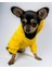 Yellowie Köpek Sweatshirt Hoodie Köpek Kazağı Köpek Kıyafeti 3