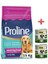 Pro Line Kuzu Etli & Pirinçli Yetişkin Köpek Maması 15 kg + Konserve Hediyeli 1