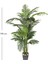 Yapay Ağaç Areka Palmiye Gerçek Dokulu 20 Yaprak Yeşil 190 Cm. 4