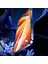 iPhone 14 Pro Uyumlu Olifobik Hardness V-Pro Tempered Cam Ekran Koruyucu 2 Adet 2