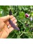 Şiraz Siyah Bezelye Tohumu Shiraz Snow Pea Purple Mangetout 4