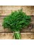 Demetlik Dereotu Tohumu Atalık Tohum Bouquet Dill 1