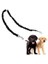 Bungee Çift Köpek Çoğaltıcı Kurşun, Hiçbir Arapsaçı Iki 2 Köpek Tasma ve Splitter Yürüyüş Yavru Küçük Orta Büyük Köpek (Siyah) (Yurt Dışından) 1