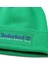 Established 1973 Beanie 2