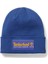 Established 1973 Beanie 1