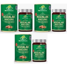 Dr. Natural Kozalak Macunu Çam Kozalağı Macun 240 gr x 3 Adet