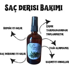 Fermescent Defne Suyu - Hidrosolü - Yağı Alınmamıs - Sac Derisi Bakımı - Kepek