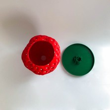 ALVİNA Çilek Saksı - Bioplastik