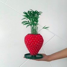 ALVİNA Çilek Saksı - Bioplastik