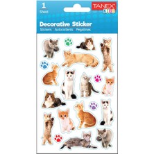 Tanex 25037 Kedi Serisi