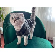 Basic Gri  Kedi Köpek Kapşonsuz Sweat