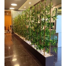 Botanik Bahçesi Yapay Bambu Bamboo Çiçek  150 cm Boy Çubuk Ağaç  4 Adet Set Halinde Antrasit Iç Mekan Ahşap Saksıda