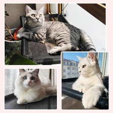 Hanyang Gri Tek Katmanlı Kedi Hamak Pencere Yatak Evcil Hayvan Yaz Hamak Yatak Ev Yatak Oturma Odası Vantuz Duvar Asılı Evcil Hayvan Örgü Nefes Hamak Yatak (Yurt Dışından)