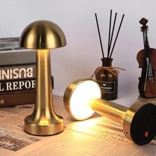 Esyah Seyhan Dekoratif Şarjlı LED Masa Lambası FL-8055