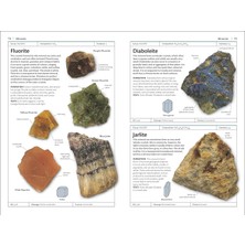 Rocks And Minerals - Chris Pellant