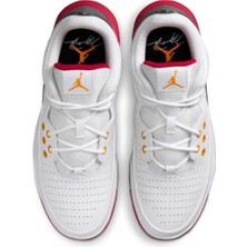 Nike Jordan Max Aura 5 Erkek Basketbol Ayakkabısı DZ4353-160