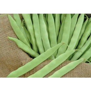 Cegel Ziraat Gina (Green Line) Oturak Fasulye Tohumu 100 Gram