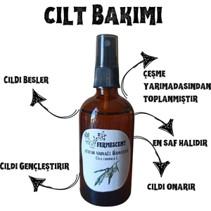 Zeytin Yaprağı Hidrosolü / Suyu - Cildi Onarır