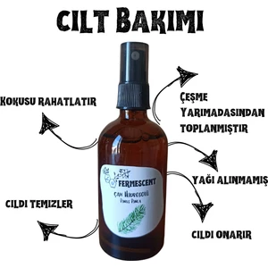 Çam Suyu - Hidrosolü -  - Organik Yağı Alınmamış - 100 ml
