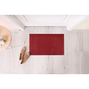 Birce Home Balkon ve Iç Dış Kapı Önü Nem Toz Alıcı Paspas 45X70 cm