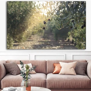 Canvasum Zeytin Dalı Kanvas Tablo DR0149