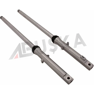 Asil Motor Ön Amortisör Komple Cg [takım]