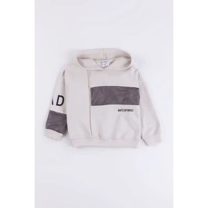 Gold Class Kidswear Kapüşonlu Ribanalı Pamuk Erkek Çocuk Sweatshirt