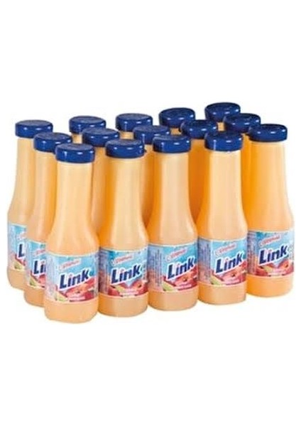 Link Şeftali Aromalı Içecek 200 ml x 15 Adet