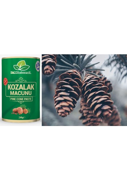 Kozalak Macunu Çam Kozalağı Macun 240 gr x 2 Adet