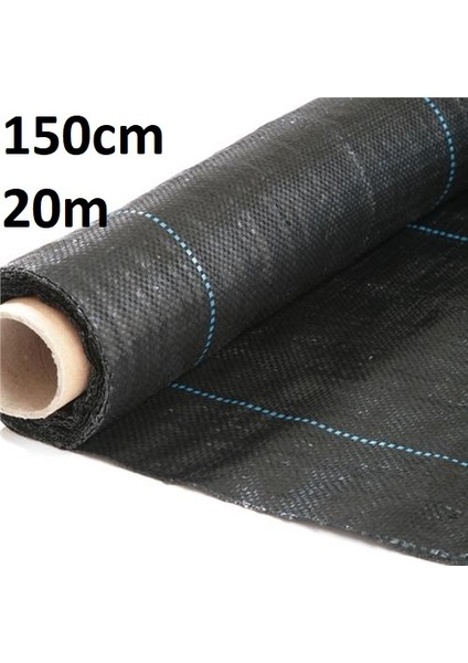 Siyah Çilek 150CM