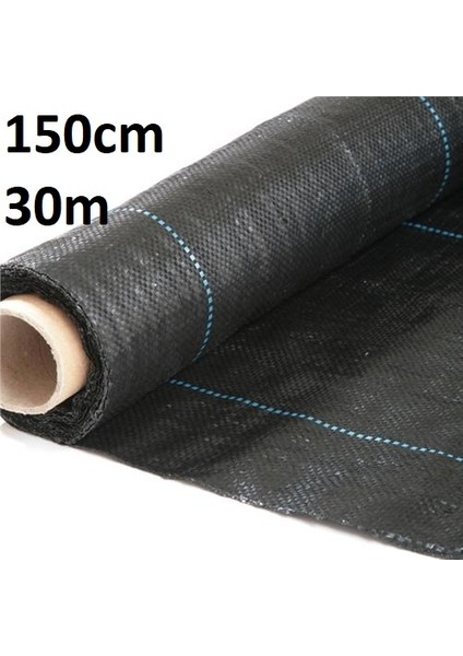Siyah Çilek 150CM
