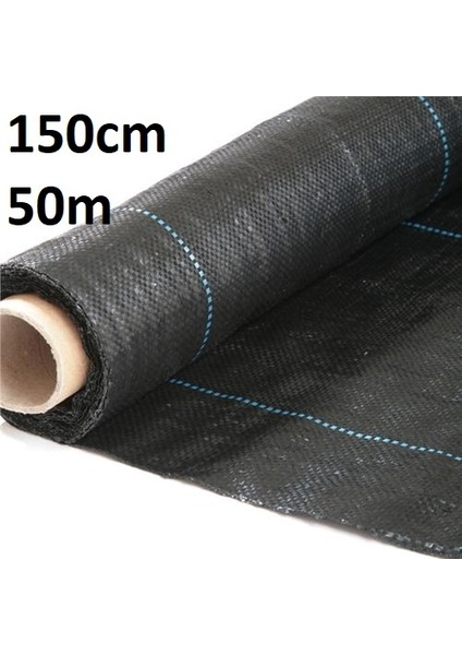 Siyah Çilek 150CM
