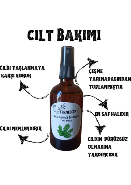 Incir Yaprağı Suyu - Hidrosolü - Cilt Lekeleri ve - Organik Yağı Alınmamış - 100 ml