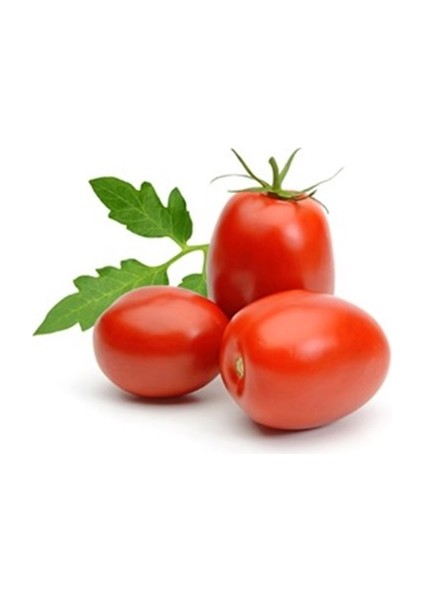 100 Adet Tohum Nadir Samarzana Domatesi Tohumu Yeni Hasat Hediyeli