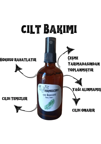 Çam Suyu - Hidrosolü -  - Organik Yağı Alınmamış - 100 ml