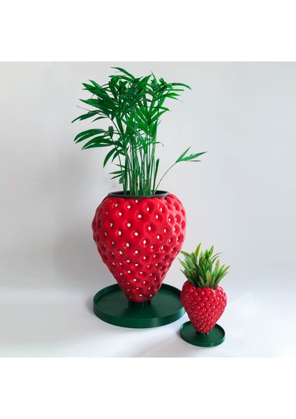 Çilek Saksı - Bioplastik