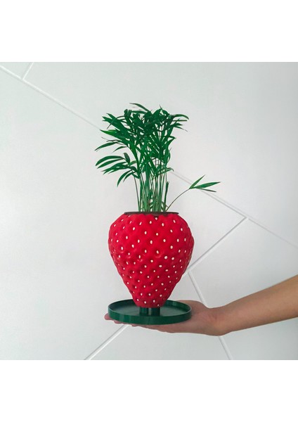 Çilek Saksı - Bioplastik fırsatları