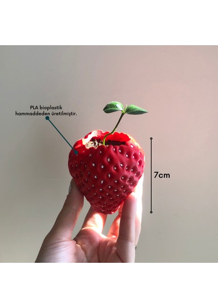 Çilek Saksı 7cm - Bioplastik