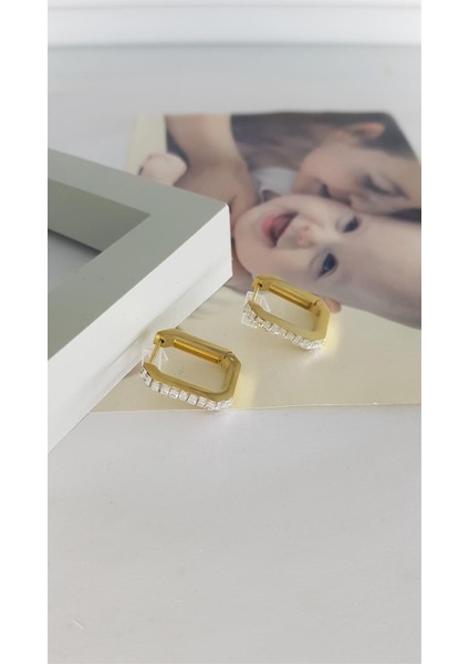 Çelik Küpe SNS301521