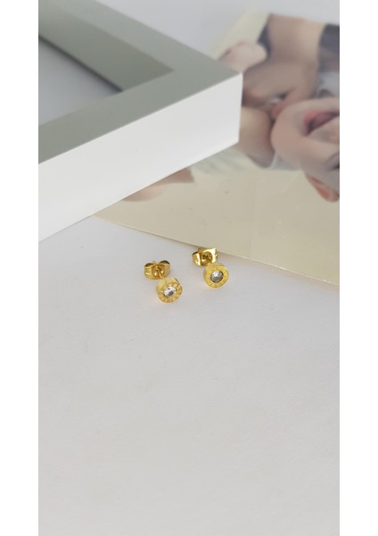 | Çelik Küpe | Sns301883