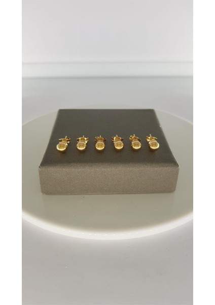 Çelik Küpe SNS301494