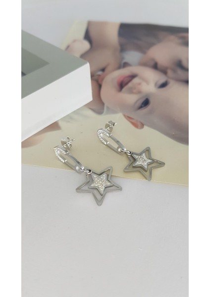 Çelik Küpe SNS301861